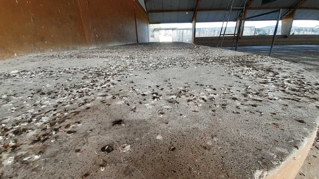 Telas instaladas impedem invasão de andorinhas na quadra Poliesportiva de São João do Panelinha